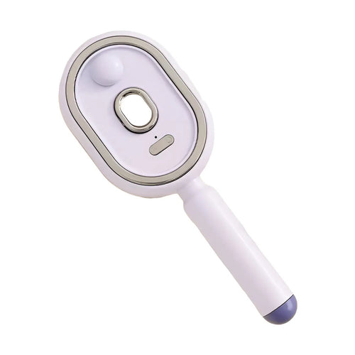 Electric Spray Retractable Air Cushion Comb Wave